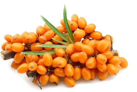 Оранжевите плодчета и облепихата